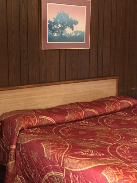 Plantation Motel Candler Exterior photo